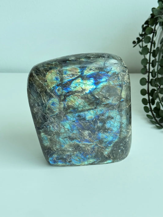 Labradorite - Madagascar