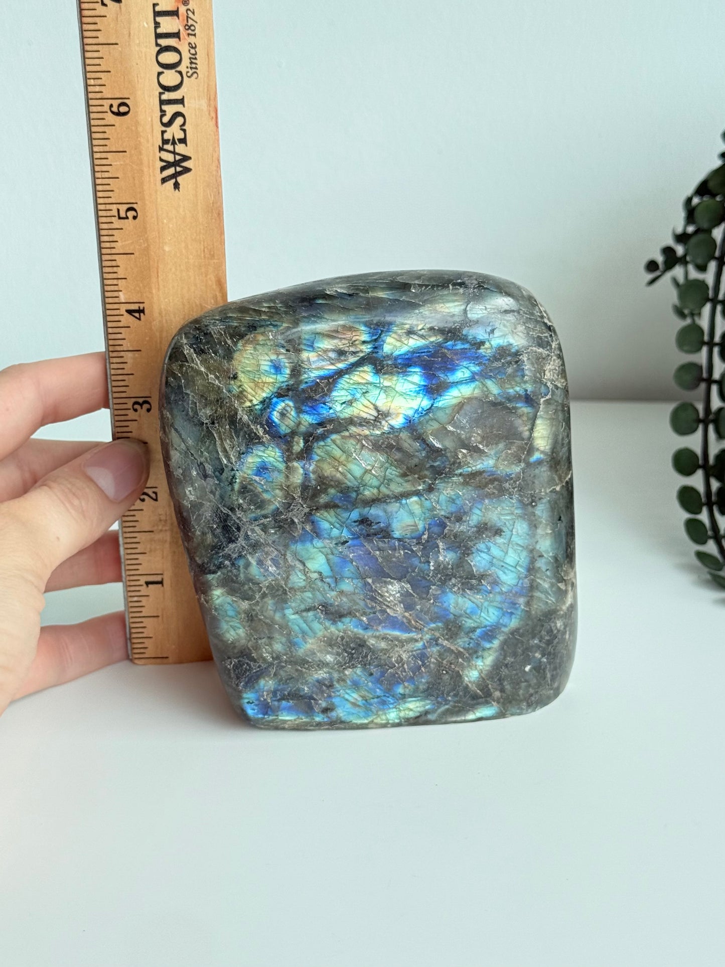 Labradorite - Madagascar