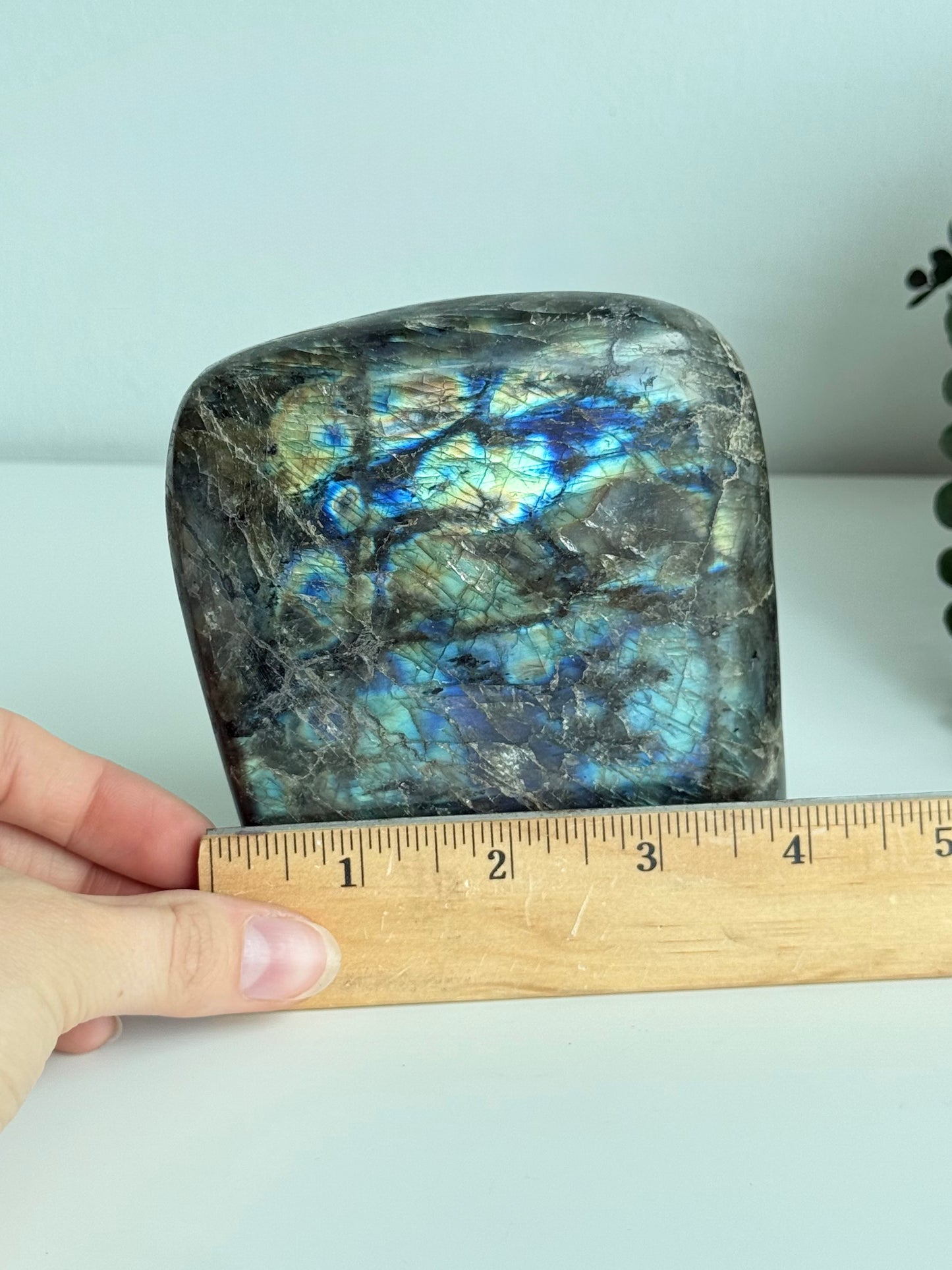 Labradorite - Madagascar