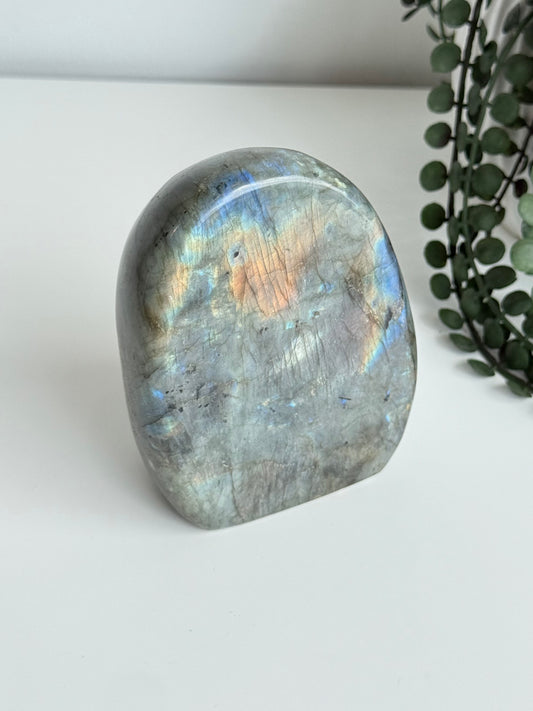 Labradorite - Madagascar