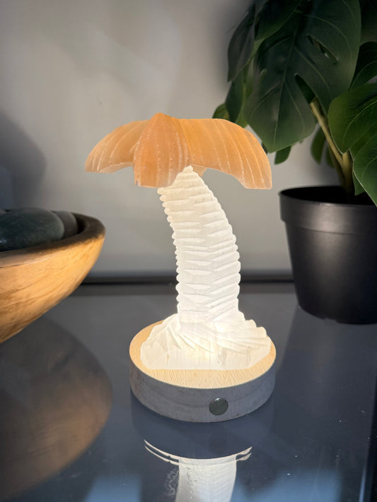 Orange and White Selenite  Palm Tree