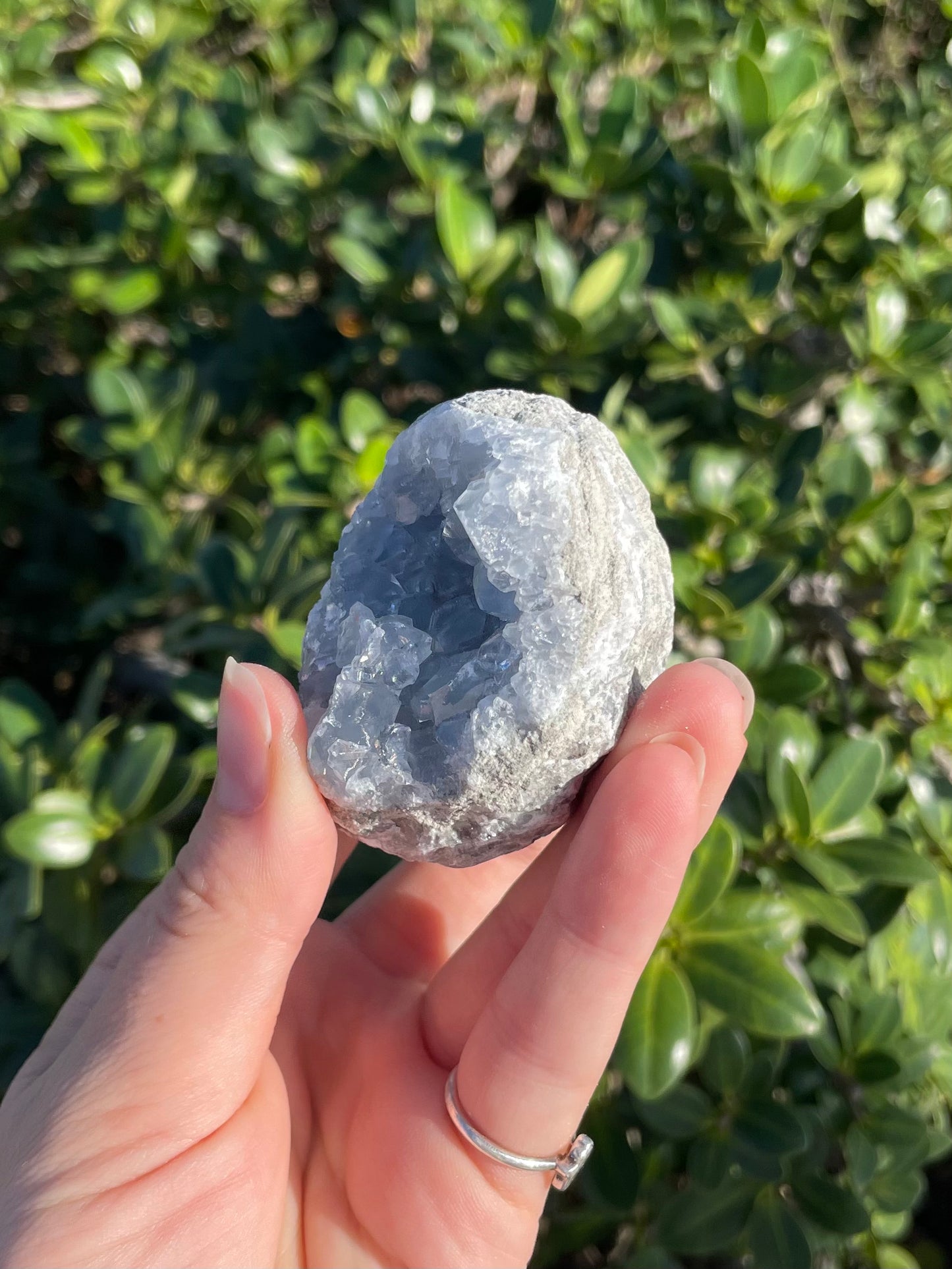 Celestite ( b )