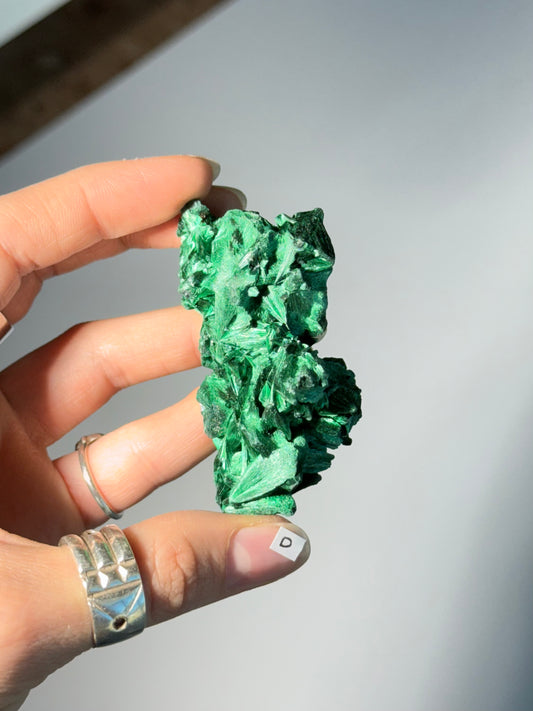 Raw Malachite ( D )