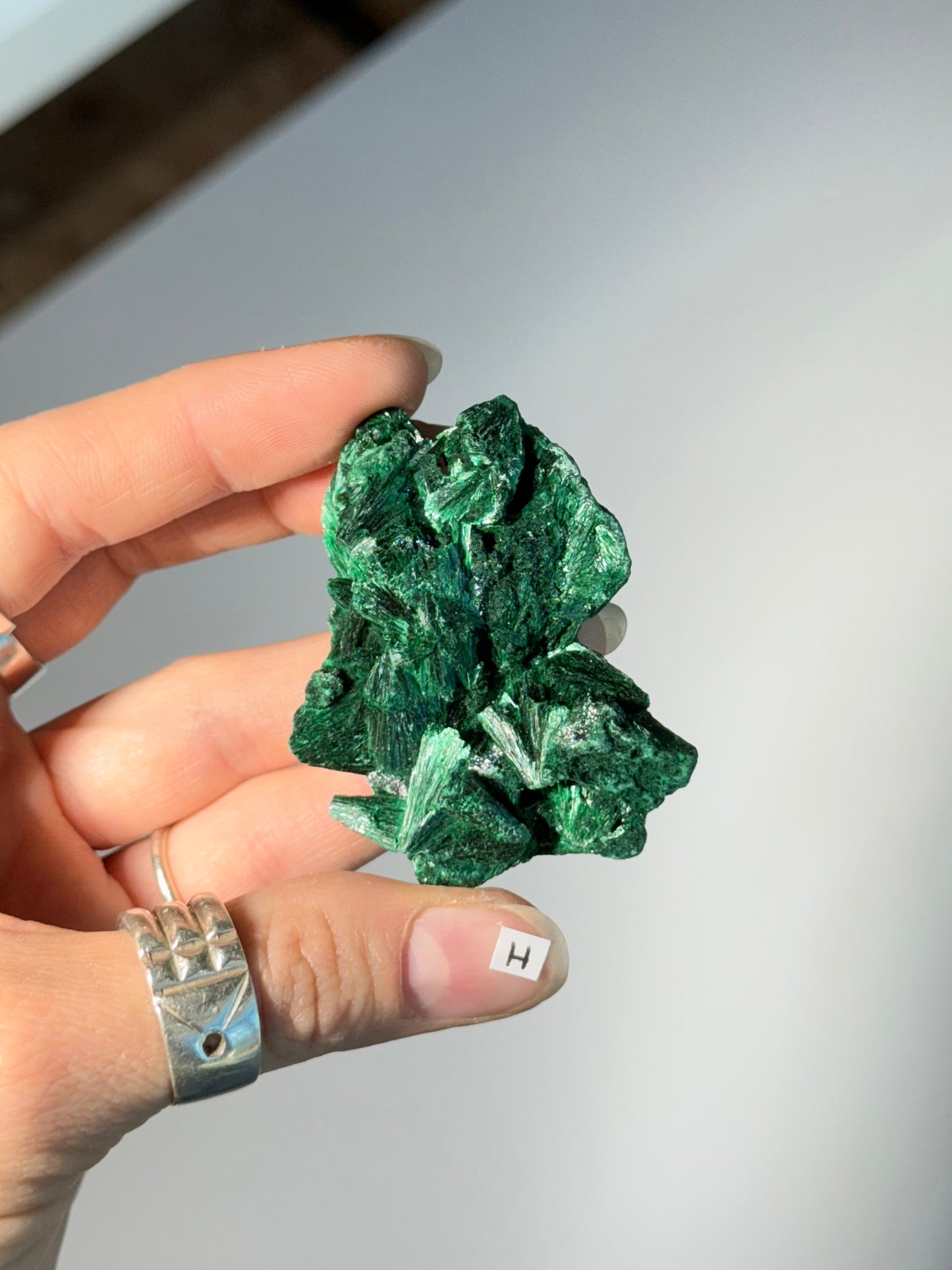 Raw Malachite ( H )