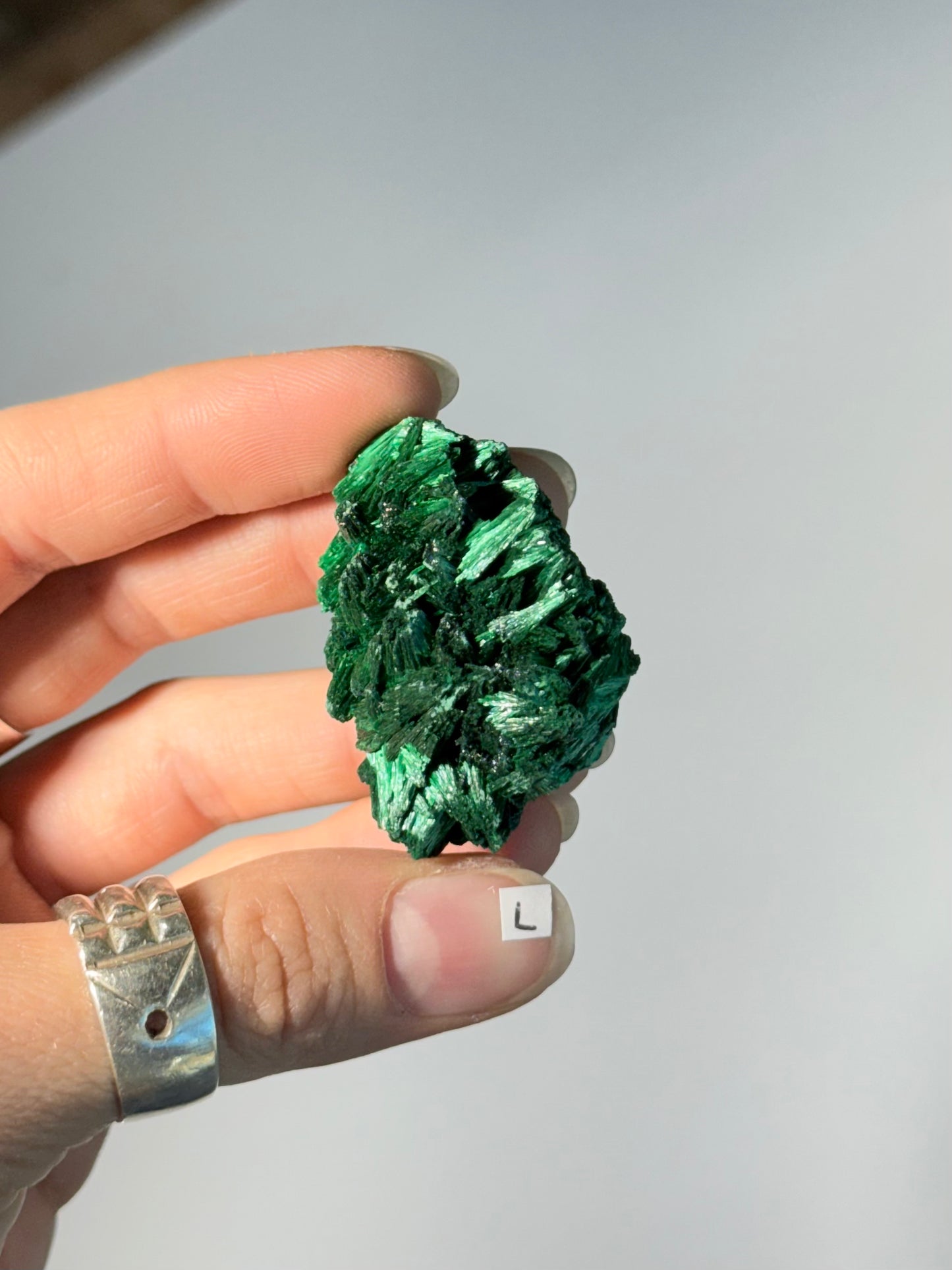 Raw Malachite ( L )