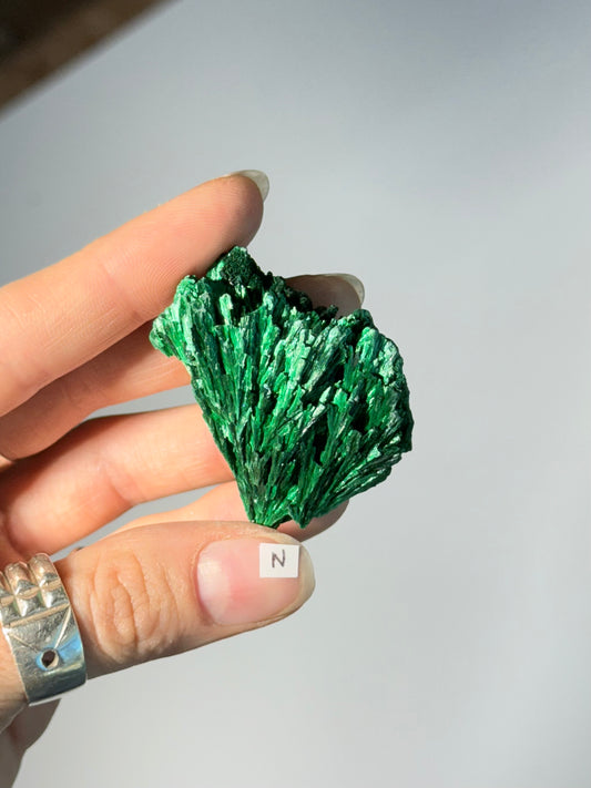 Raw Malachite ( N )