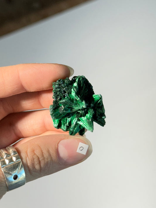 Raw Malachite ( O )
