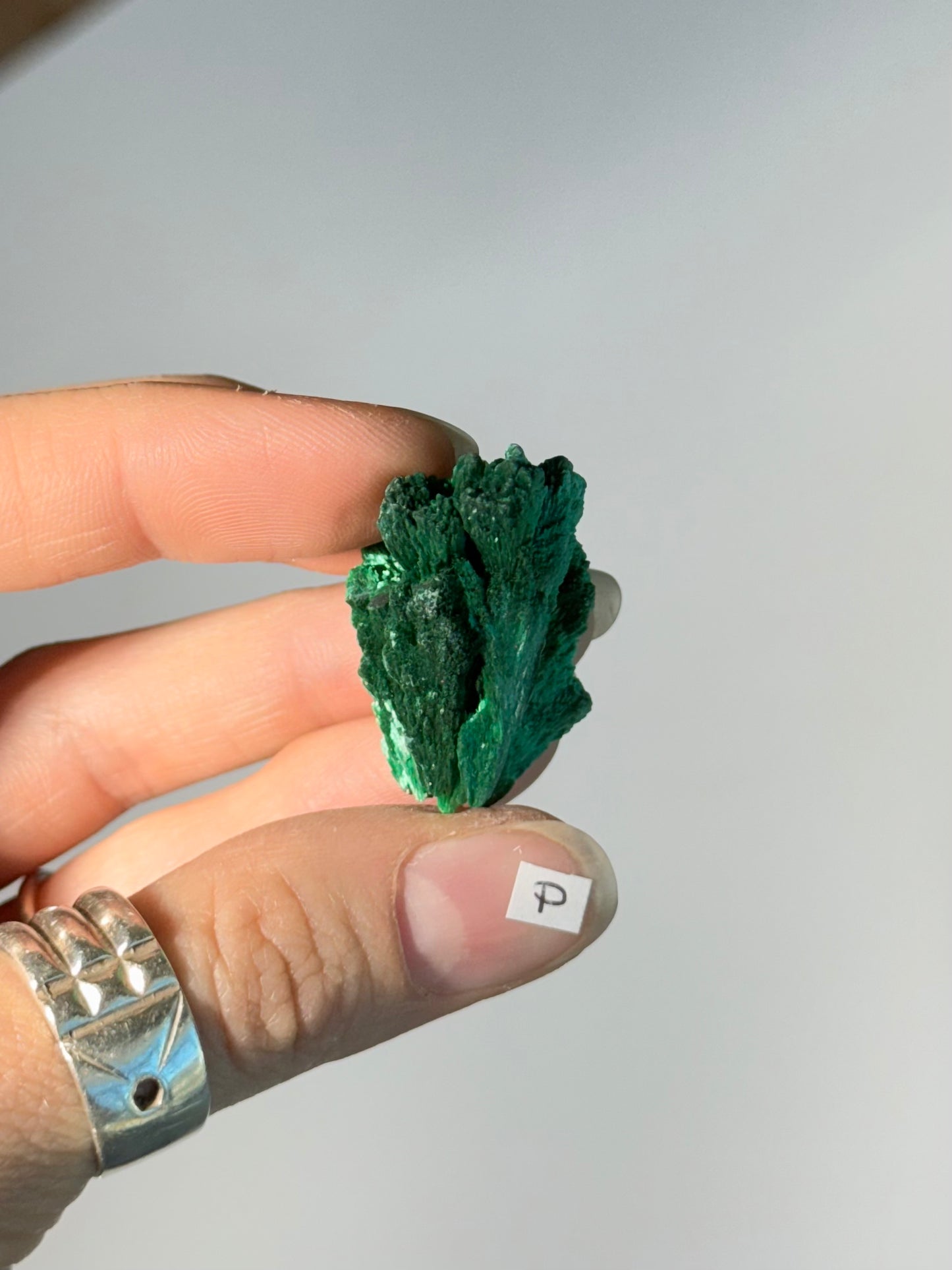 Raw Malachite ( P )