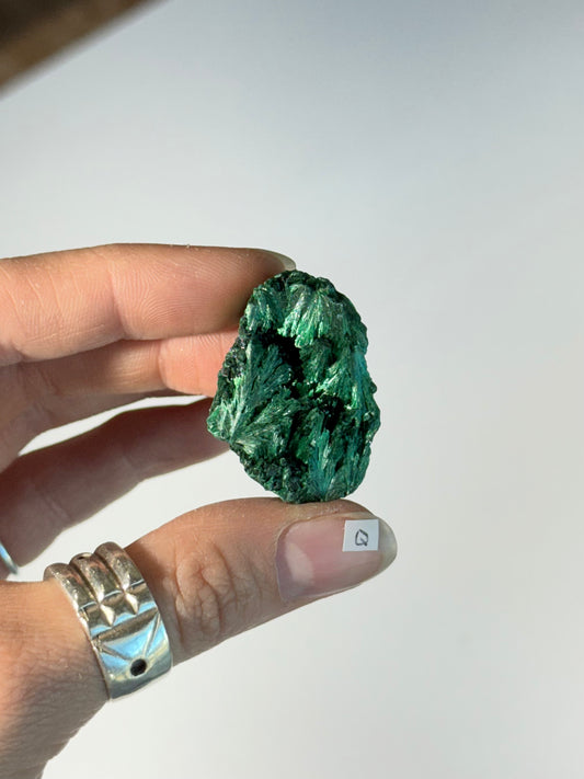 Raw Malachite ( Q )