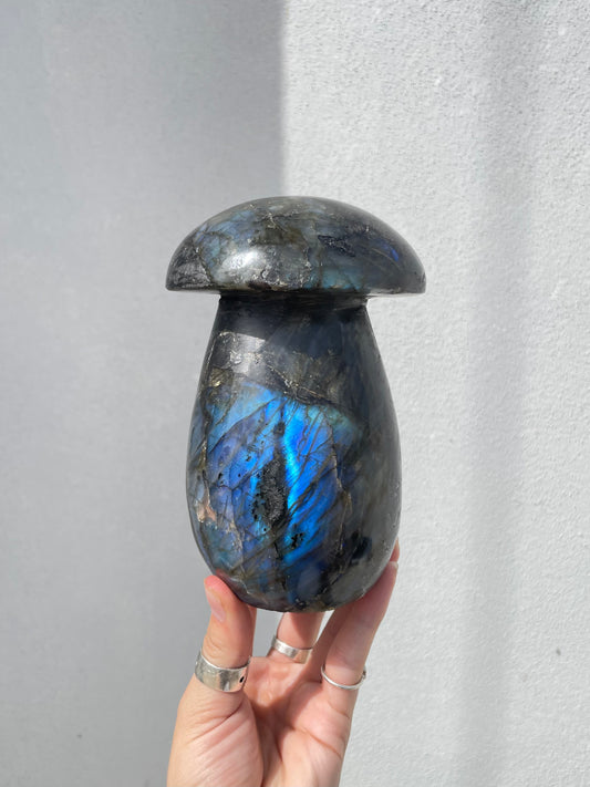 Labradorite Mushroom