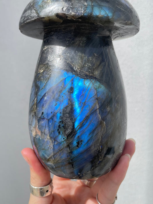 Labradorite Mushroom