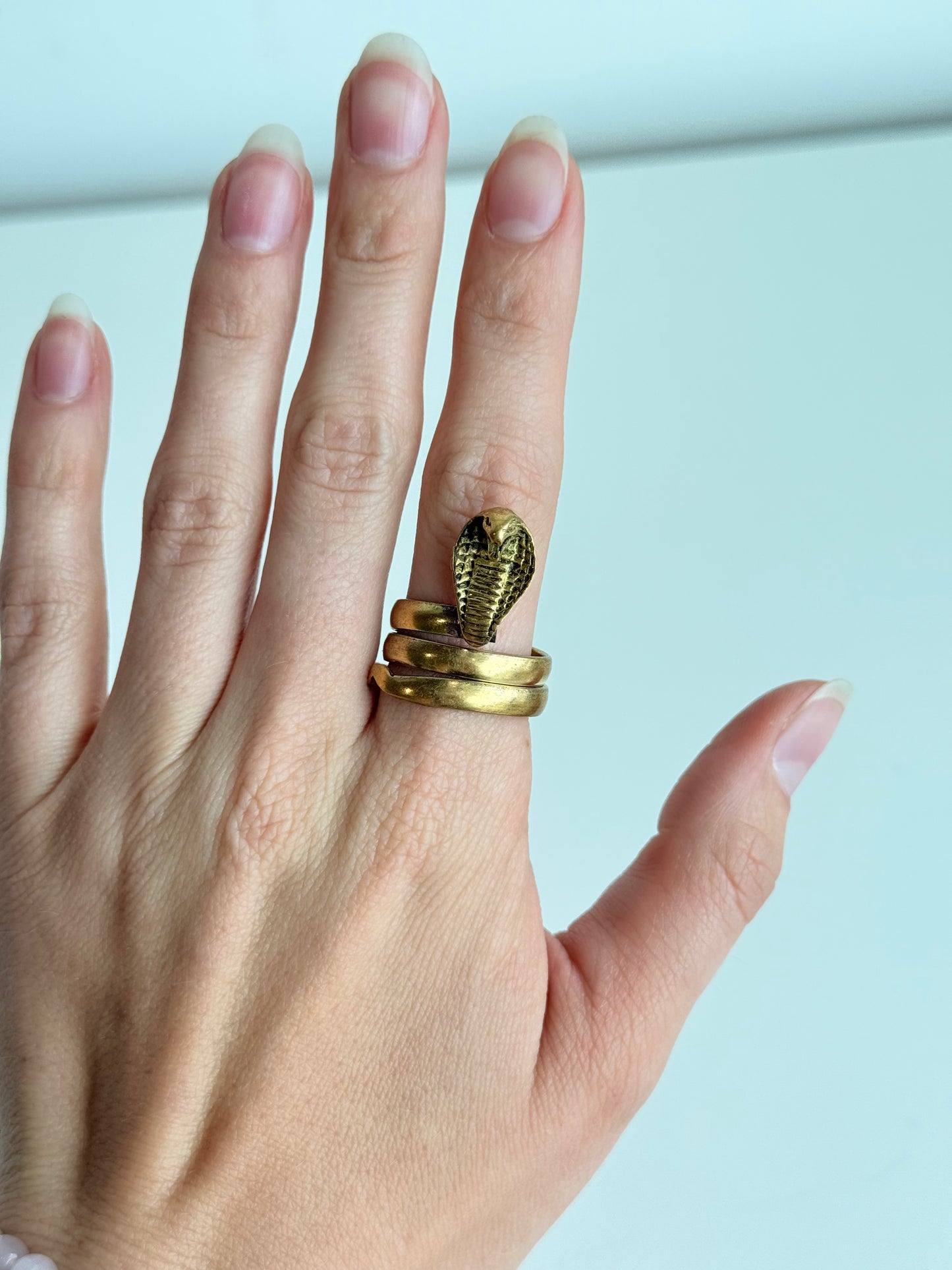Snake Adjustable Brass Ring – Best Fits Size 10 and Can Be Adjusted Larger