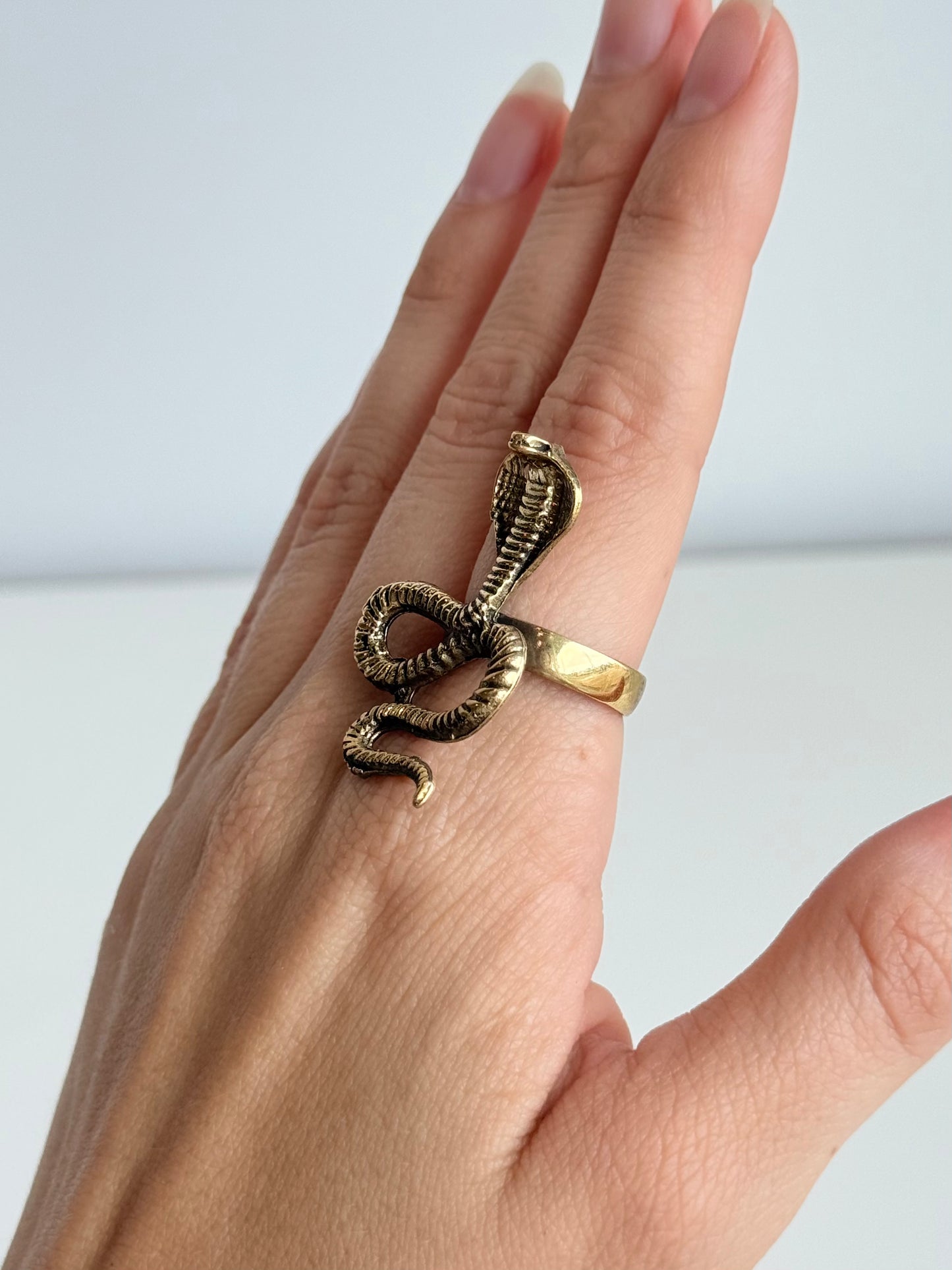 Snake Adjustable Brass Ring – Best Fits Size 7.5 and Can Be Adjusted Larger