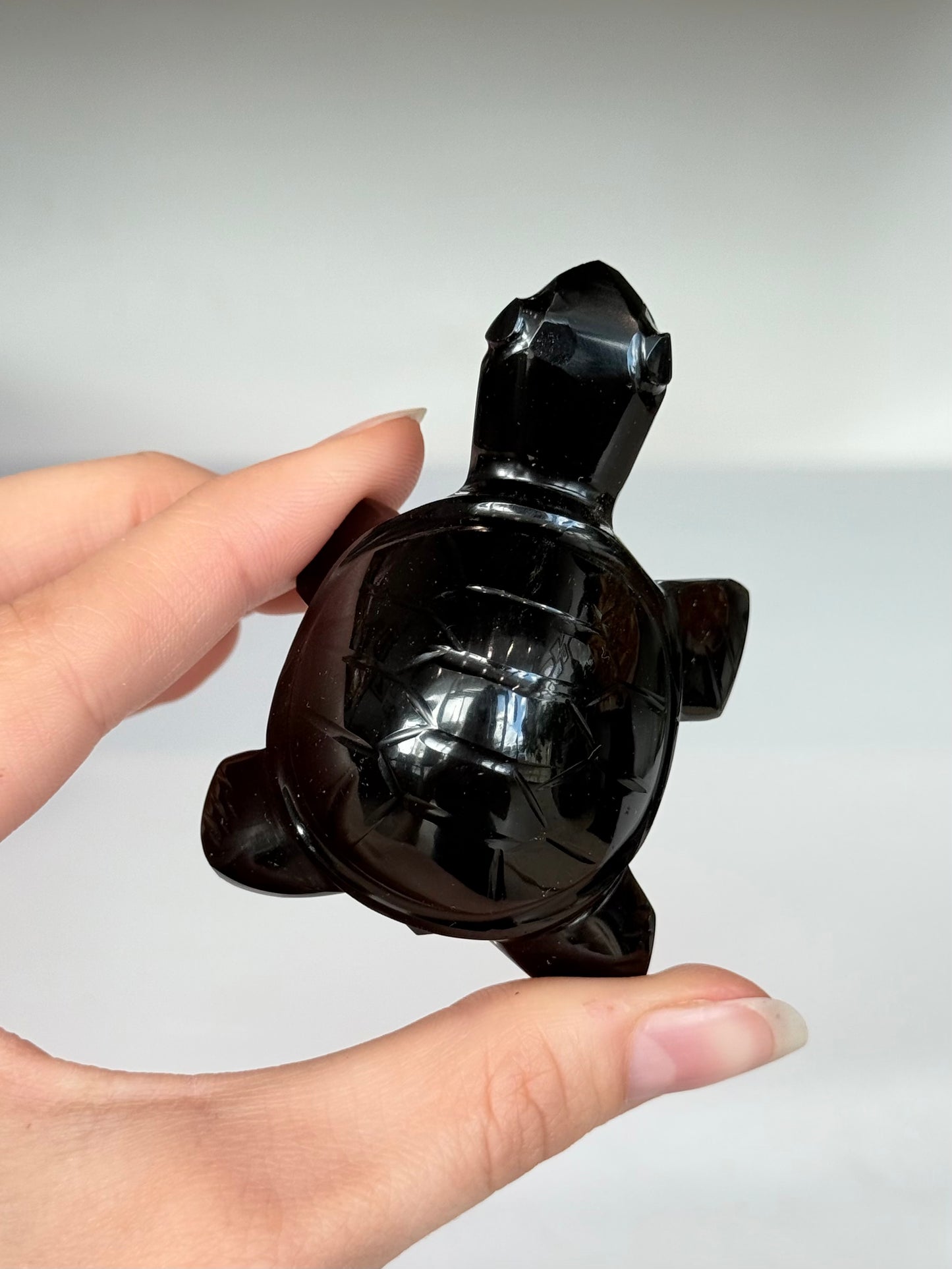 Turtle Black Obsidian