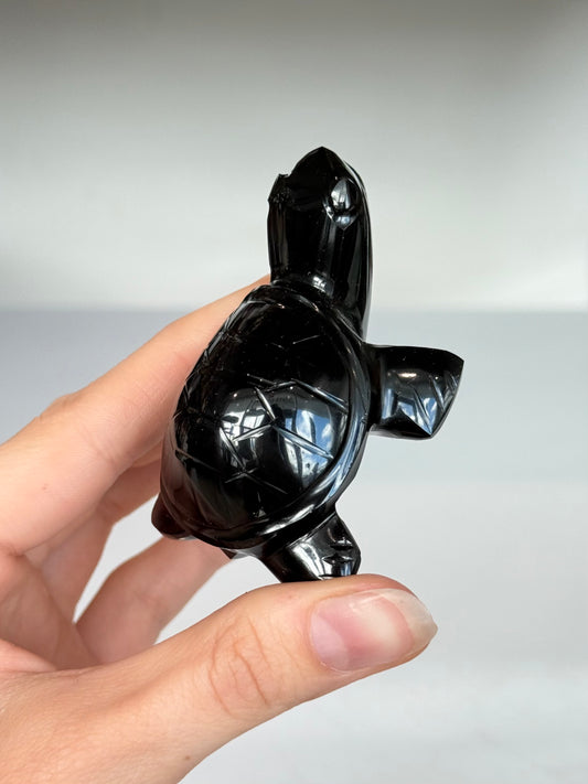 Turtle Black Obsidian