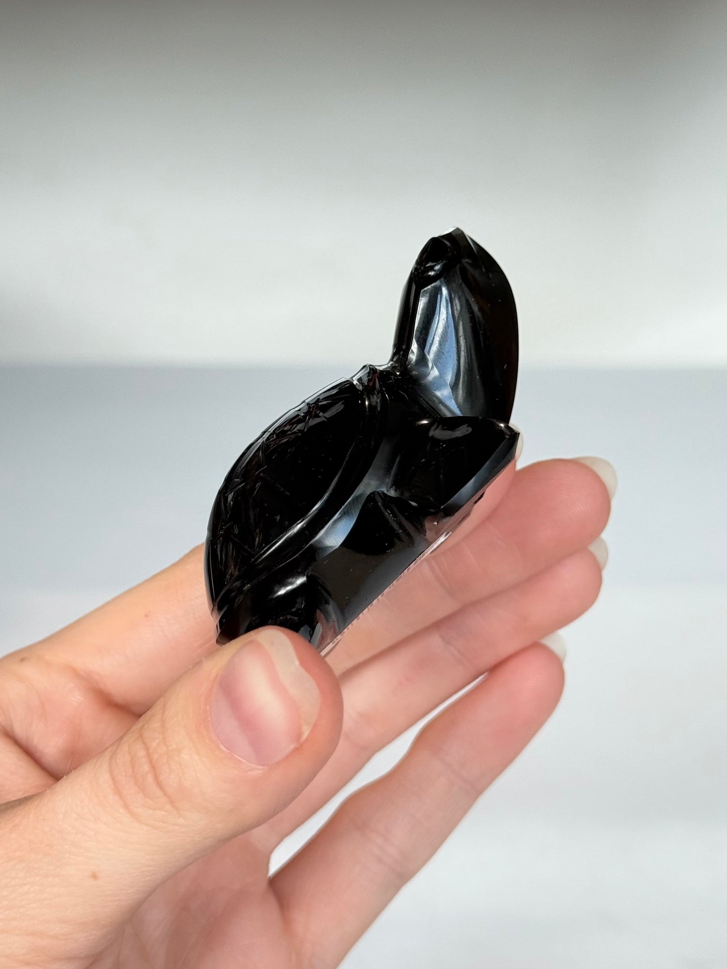 Turtle Black Obsidian