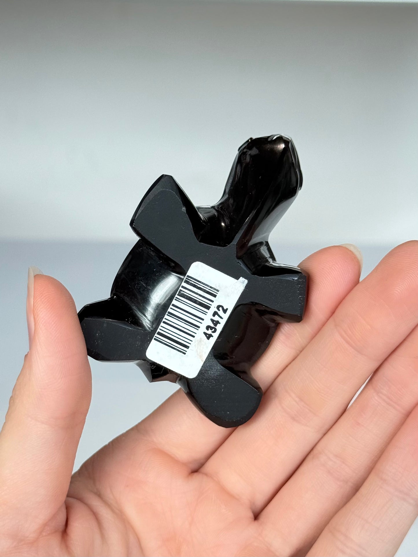Turtle Black Obsidian