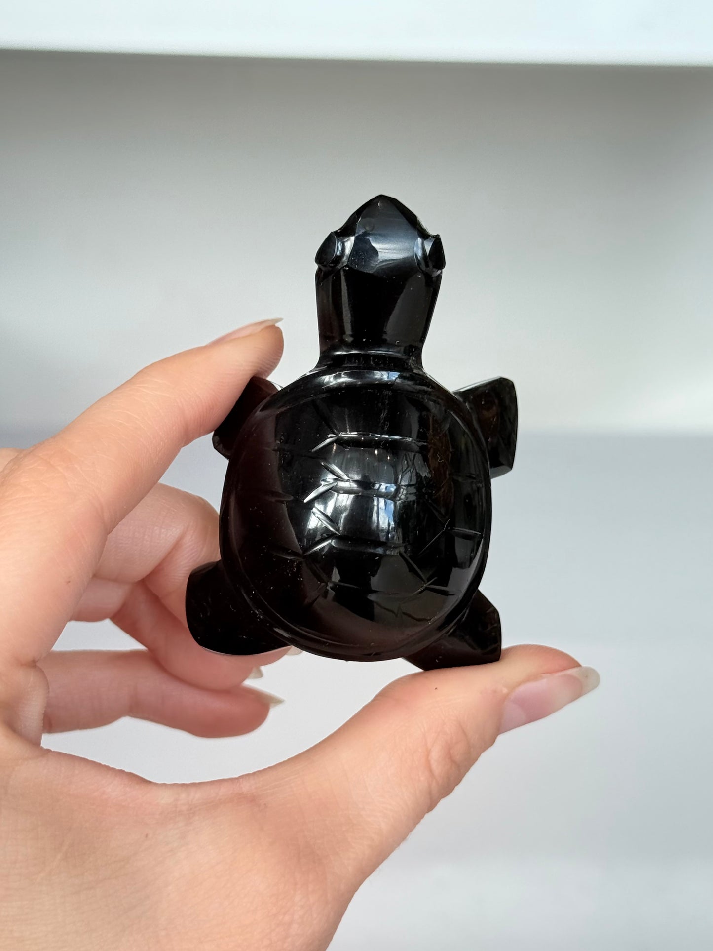 Turtle Black Obsidian