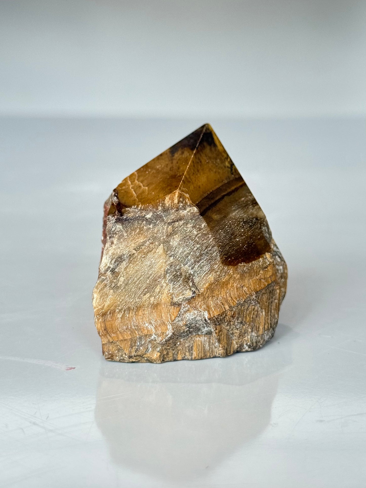 Tiger Eye Point
