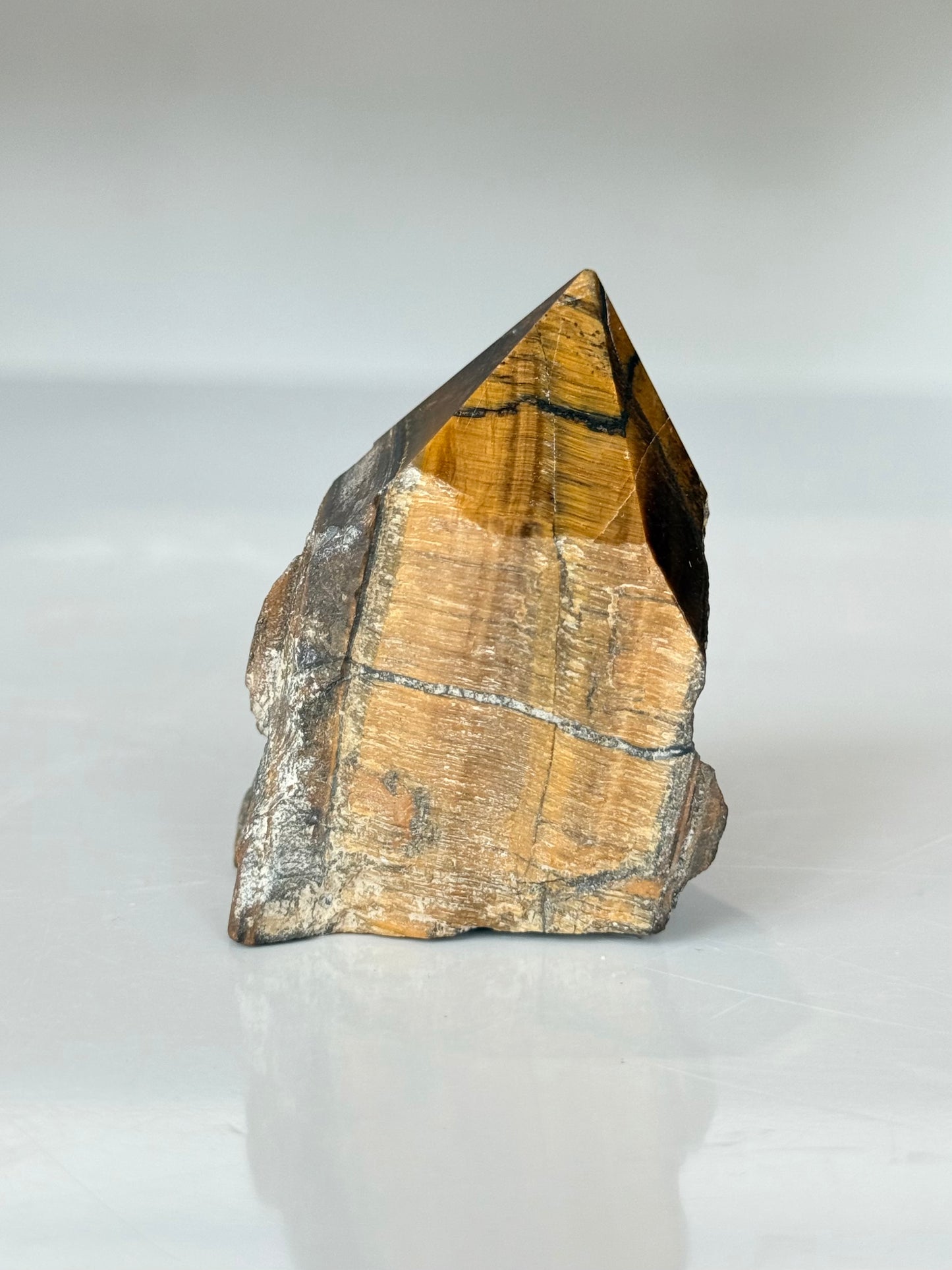 Tiger Eye Point