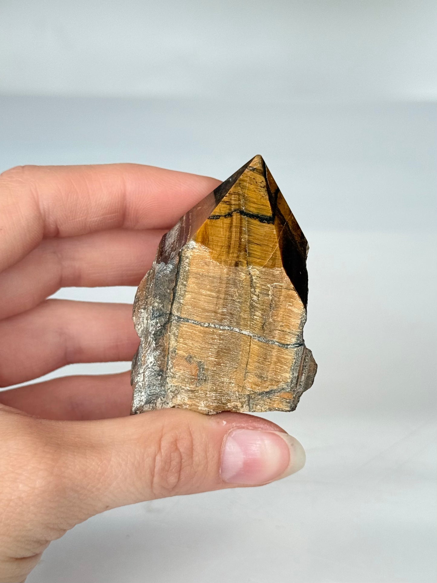 Tiger Eye Point