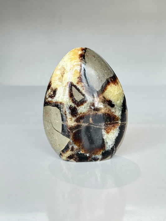 Septarian
