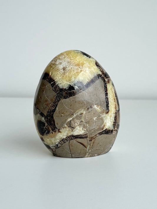 Septarian
