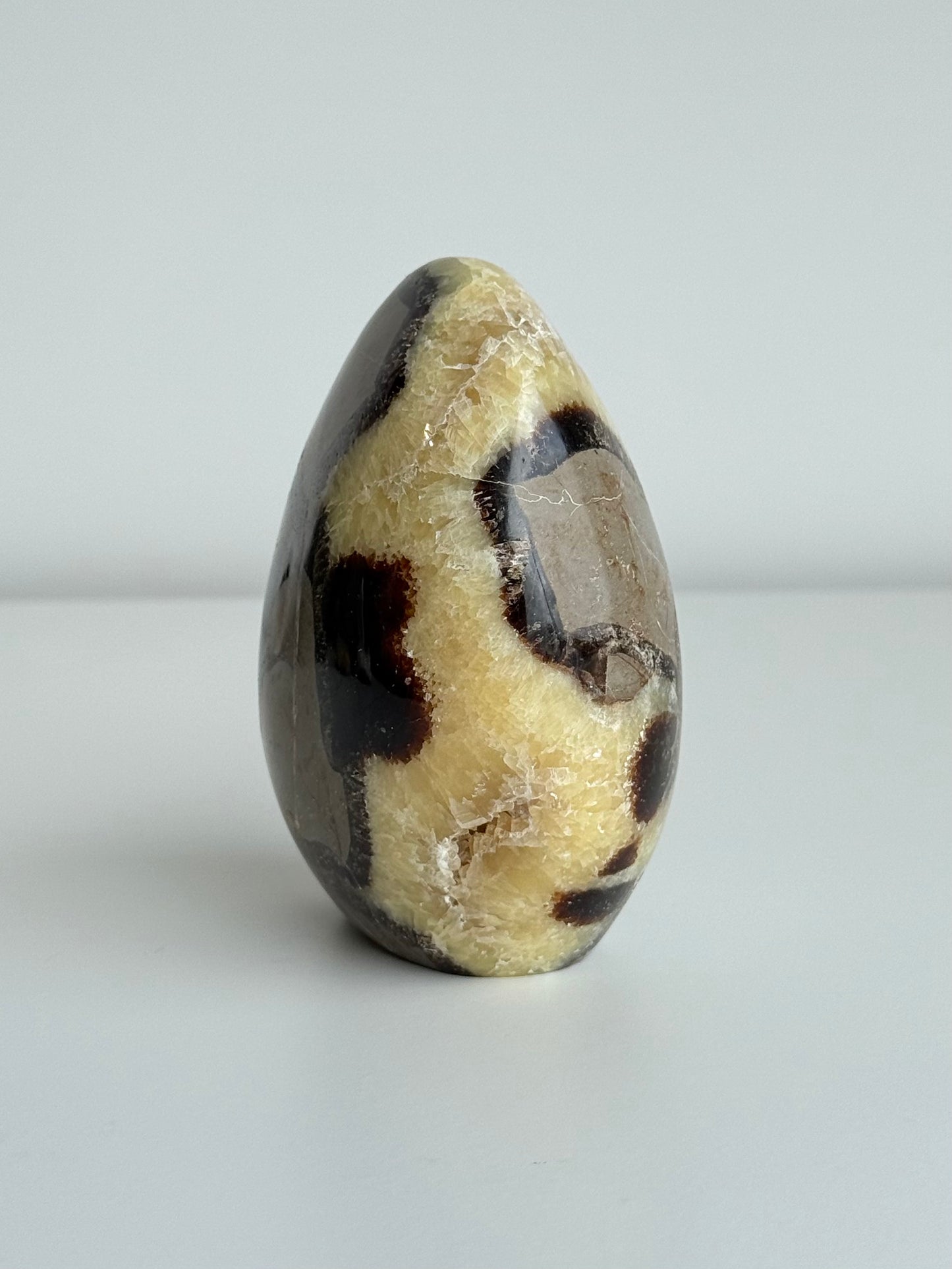 Septarian