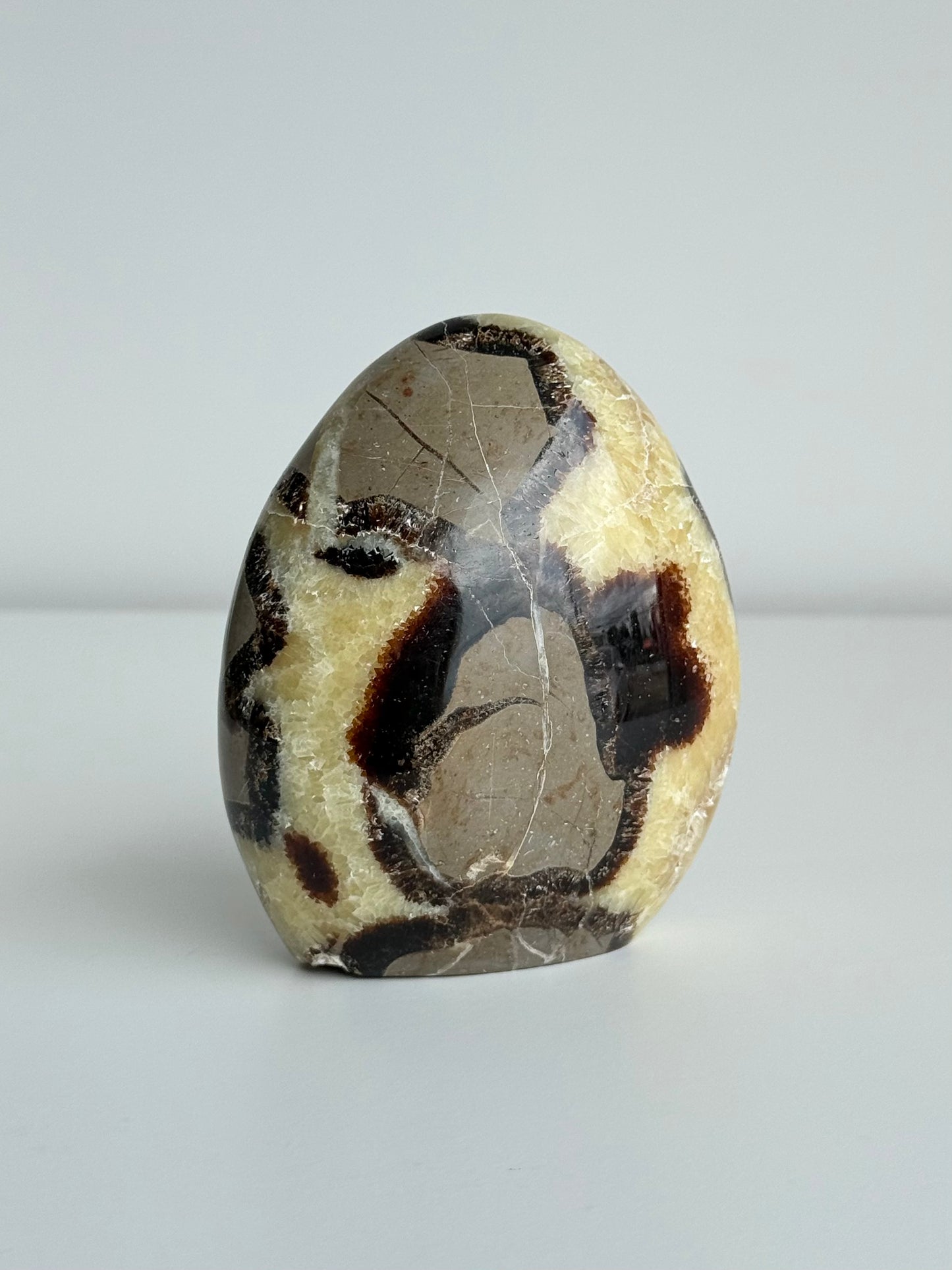Septarian