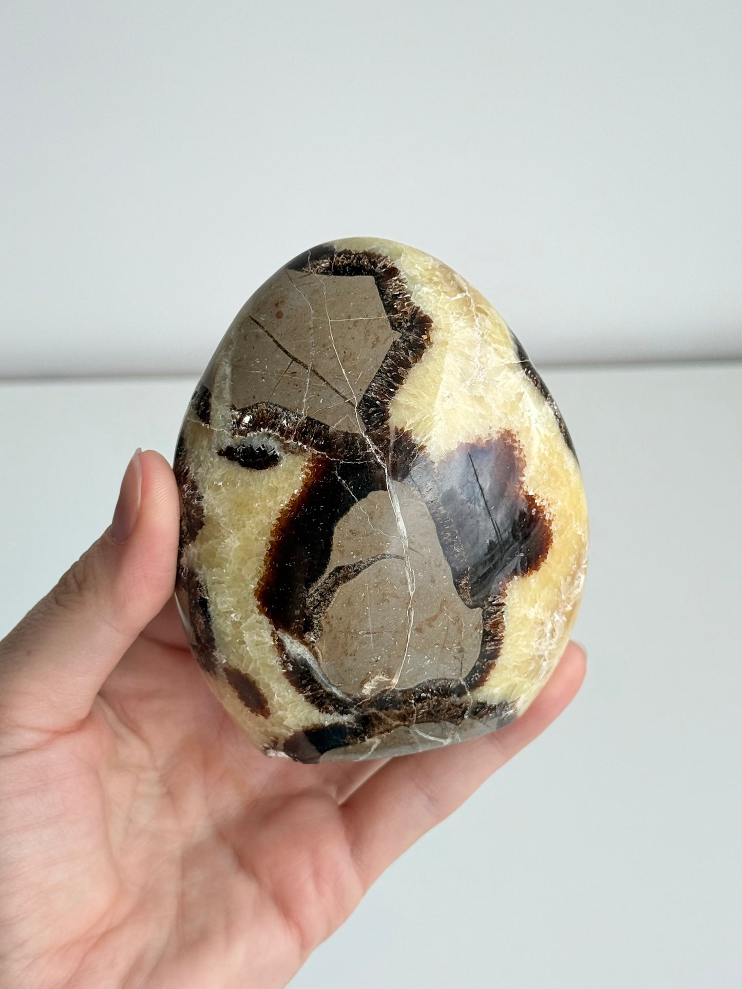 Septarian