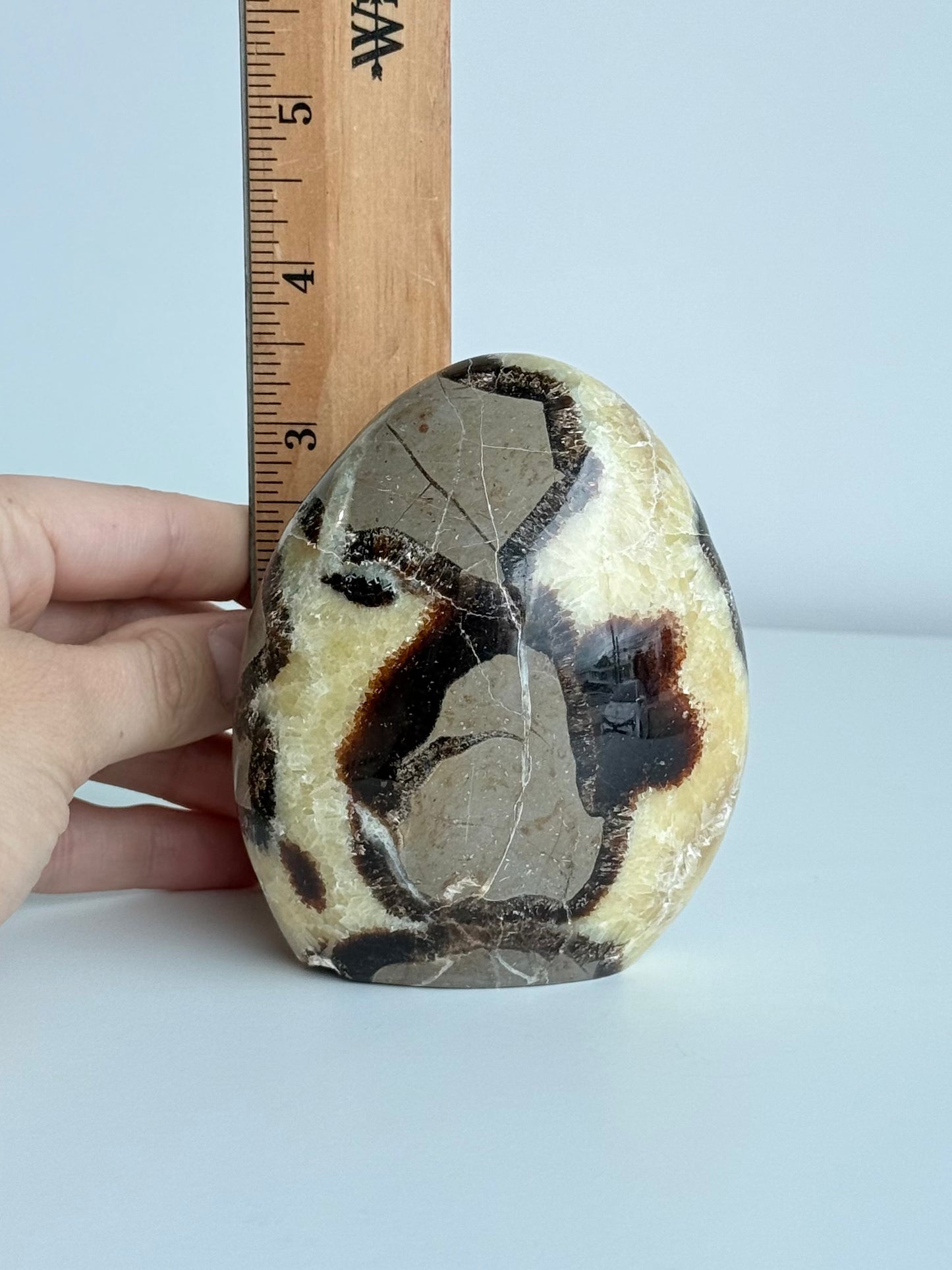 Septarian