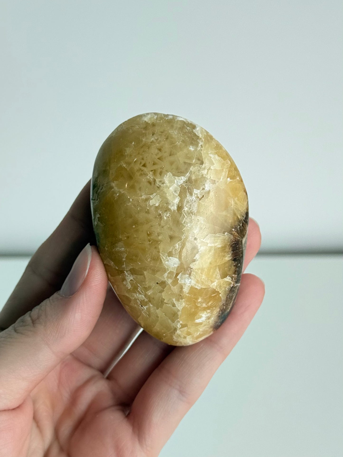 Septarian Palm Stone