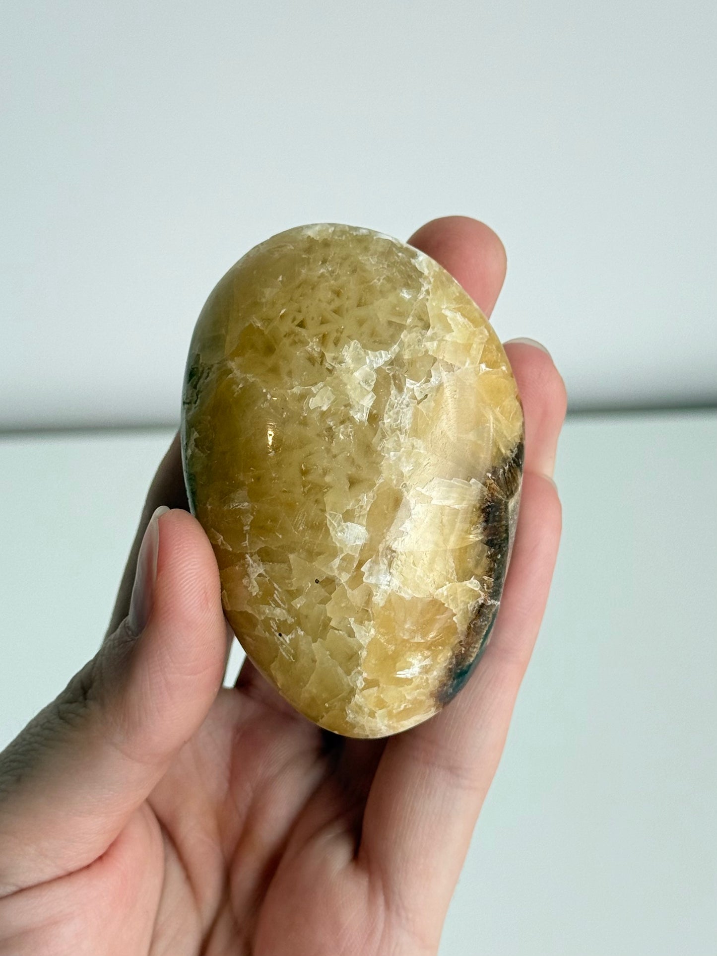 Septarian Palm Stone