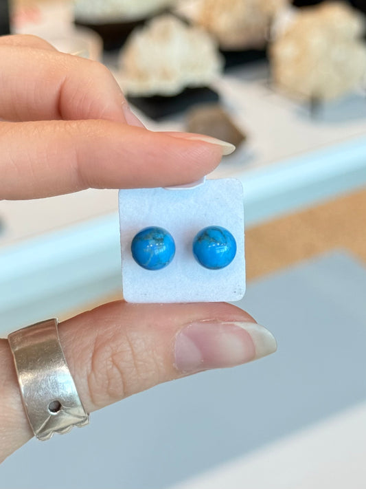Howlite Turquoise Earrings