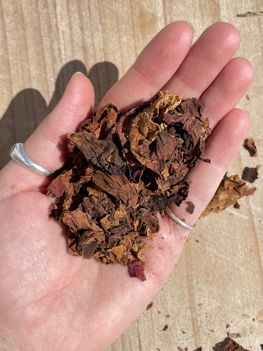 Dried roses