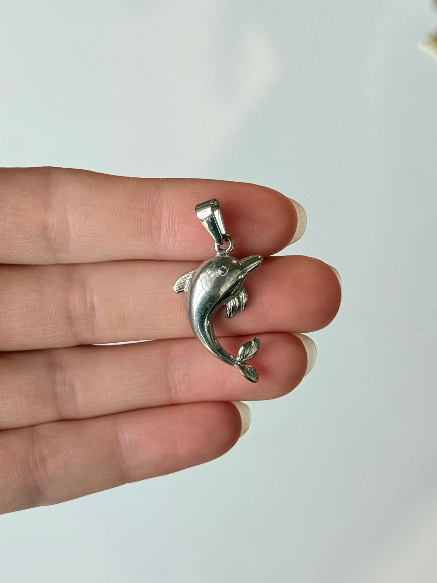 Dolphin - Stainless Steel